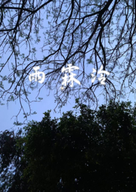 把发小的弟弟画进黄漫掉马后（1V1）