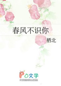 帝君他忙着追妻