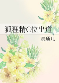 星际之大熊猫的崛起