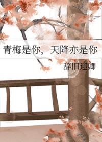 破产影后追妻记
